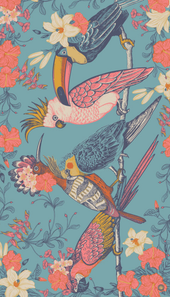 Tropical Birds Print Women's Scarf - elegance nyc